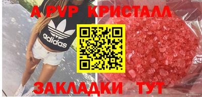 ECSTASY Будённовск