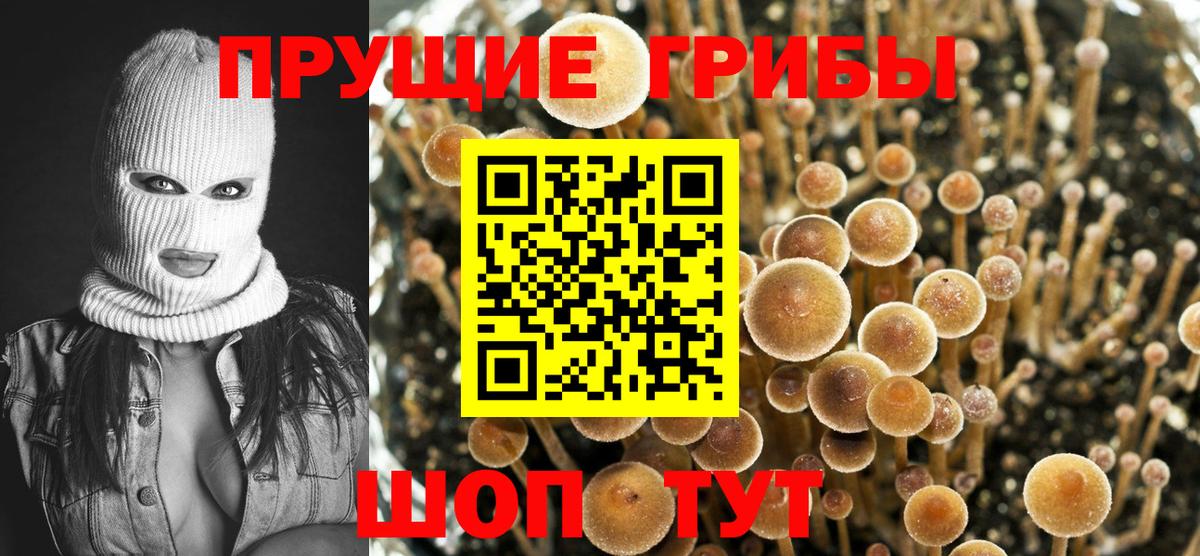 Галлюциногенные грибы GOLDEN TEACHER Рассказово